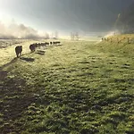 Bio Bauernhof Schweizerhof Agroturismo *