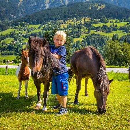 Bio Bauernhof Schweizerhof Farm stay Bad Hofgastein