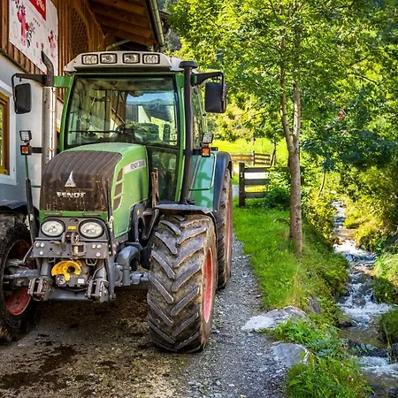 Bio Bauernhof Schweizerhof Farm stay *