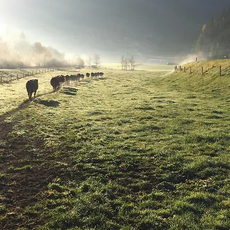 Bio Bauernhof Schweizerhof Bauernhof *