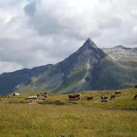 Bio Bauernhof Schweizerhof مزرعة للإقامة باد هوفغاستين