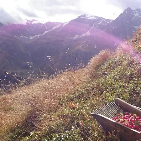 Bio Bauernhof Schweizerhof Bauernhof