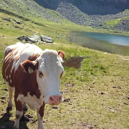 مزرعة للإقامة Bio Bauernhof Schweizerhof