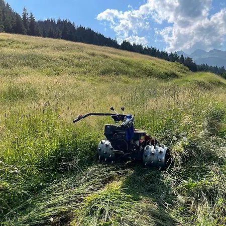 Bio Bauernhof Schweizerhof باد هوفغاستين