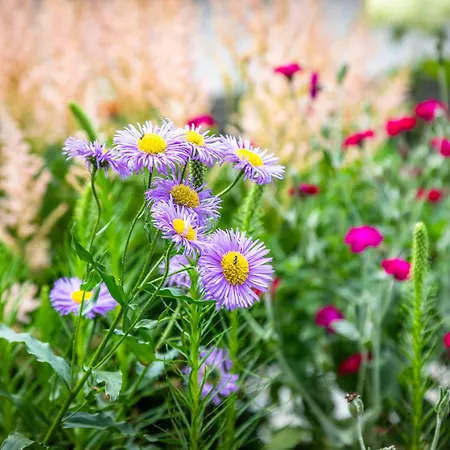 Bio Bauernhof Schweizerhof مزرعة للإقامة *