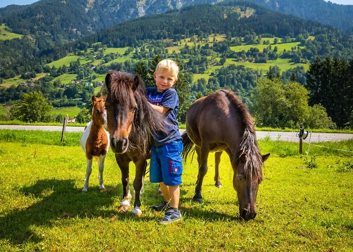 Bio Bauernhof Schweizerhof Farma Bad Hofgastein