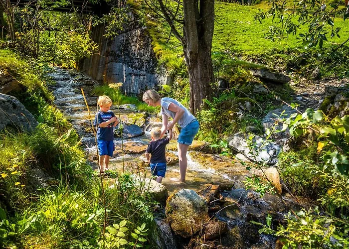 Фермерский дом Bio Bauernhof Schweizerhof Бад Хофгаштайн
