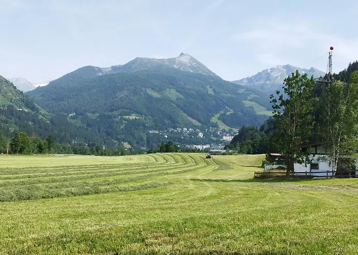 Farma Bio Bauernhof Schweizerhof