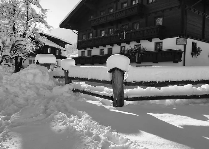 Bio Bauernhof Schweizerhof * Bad Hofgastein