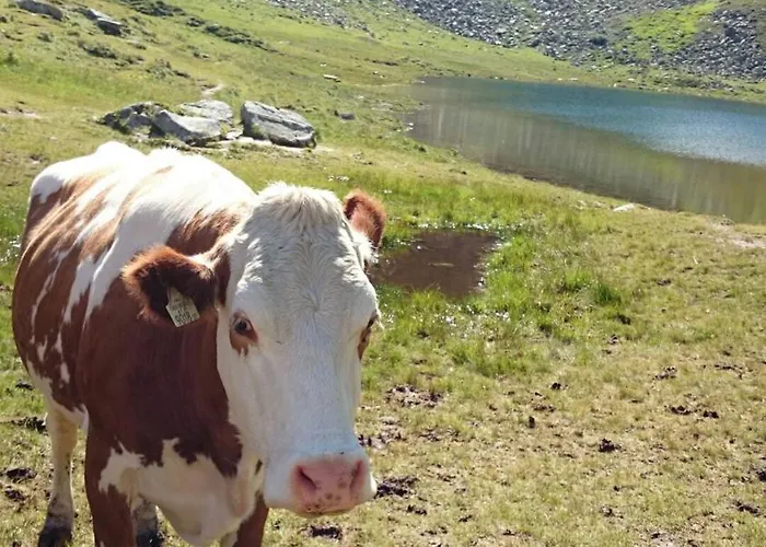 Фермерский дом Bio Bauernhof Schweizerhof