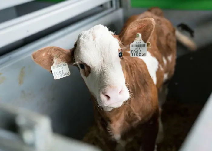 Bio Bauernhof Schweizerhof